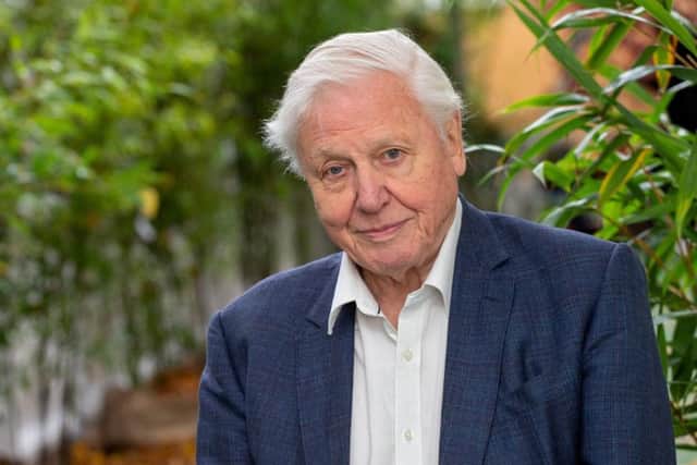 David Attenborough said the site of special scientific interest is 'irreplaceable'. Credit: SWNS