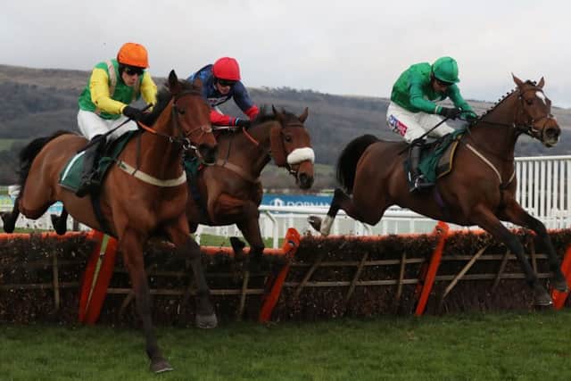 Midnight Shadow (left) won the Relkeel Hurdle at Cheltenham on New Year's Day.