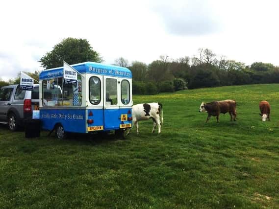 The traditional ice cream van in Burgess Ice Cream. Credit: Jonathan Gawthorpe