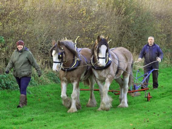 Heath Darley (right) with his wife Liz with their Clydesdales Ted(left) and Bill at Birdforth near Thirsk. Credit: Gary Longbottom