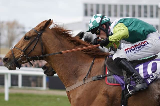 Big race successes for Hary Cobden include Topofthegame's RSA Chase victory at the Cheltenham Festival.