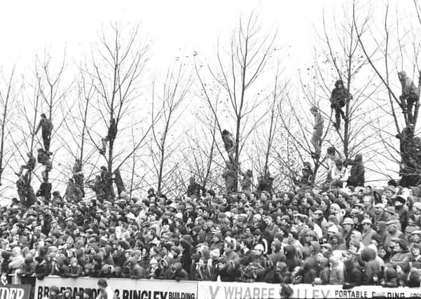 Branching out: Spectators watching the North defeat the All Blacks in 1979.