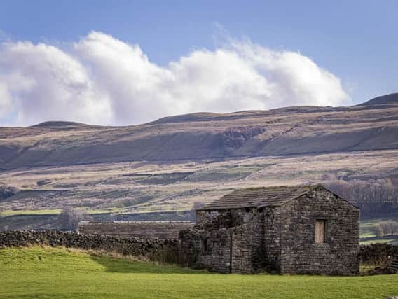 Stock Dales countryside near Hawes Wensleydale Yorkshire Dales. Photo: Marisa Cashill