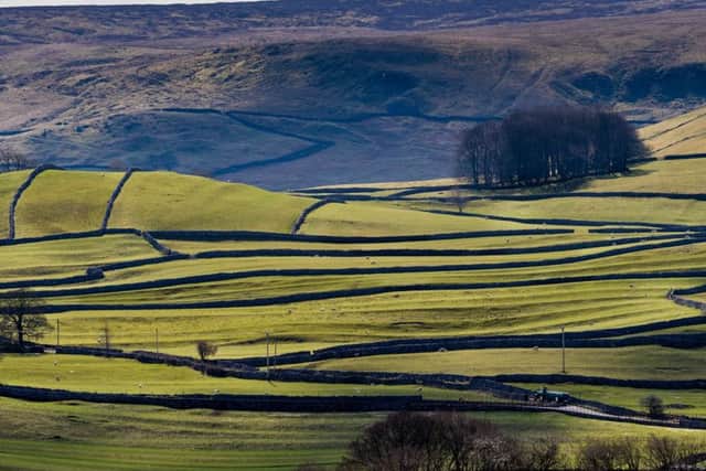 Provision of rural housing is a major issue in the Yorkshire Dales and other countryside communities.