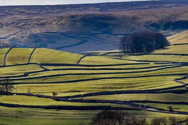 National leaders continue to overlook the needs of rural Yorkshire.