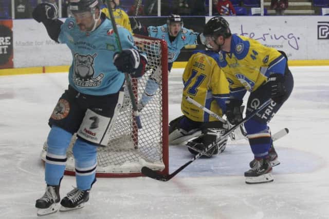 INFLUENTIAL: Vladimir Luka has impressed during his stint with Sheffield Steeldogs. Picture courtesy of Cerys Molloy.