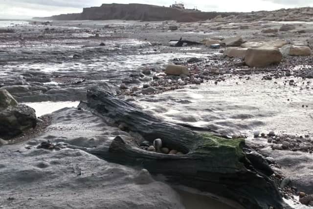 The timbers revealed on the beach could date from the last Ice Age