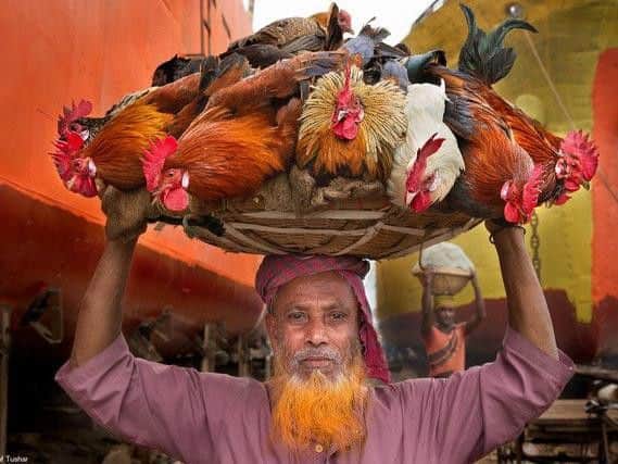 Cock Hawker by Yousuf Tushar featured in the festival.