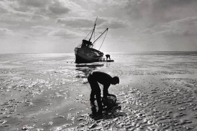 Cockle Fishing in The Wash, Norfolk, 1988, by Denis Thorpe/The Guardian.