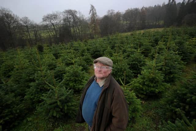 Dickie Ryder on his farm at Dace Banks where he sells Christmas trees. Credit: Simon Hulme