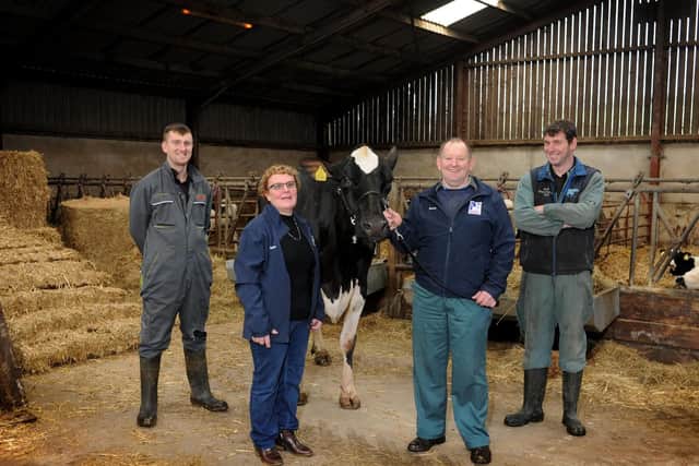 Robert and Elaine Butterfield with Chris Chappell, left and James Atkinson right and Jazz, the prize winning Holstein cow at Linghaw Farm in High Bentham. The Yorkshire Holstein Club have just had its 100th anniversary. Credit: Tony Johnson