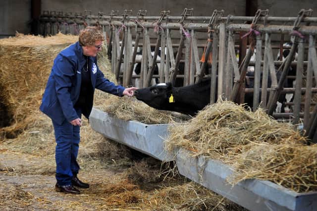 Dairy farmer Elaine Butterfield with Holstein calf at Linghaw Farm in High Bentham. Credit: Tony Johnson