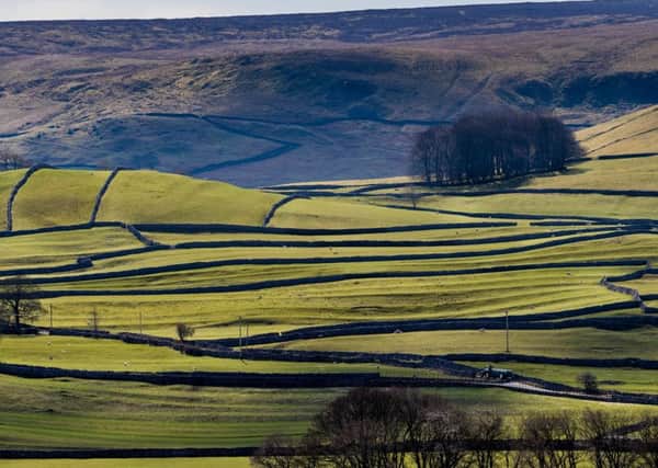 Date: 9th April 2018.
Picture James Hardisty.
Possible Picture Post/Country Week.
Pictured A  view across the lush farmland, near Grassington, North Yorkshire, showing the criss-crossing of the Yorkshire Dry Stone Walling a key feature of the Yorkshire Dales.
Camera Details: Nikon D5, Lens Nikon N 70-200mm, Shutter Speed 1/250s, Aperture f/9,  ISO
