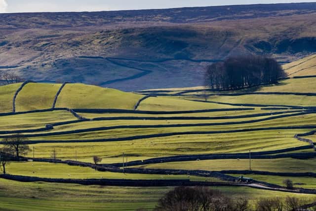 Rural issues must not be neglected in the election, says the Countryside Alliance.