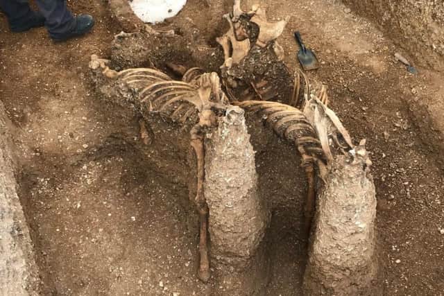 The horses were buried to look as if they were jumping out of the grave