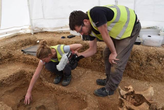 The "unique" chariot burial with two ponies was discovered on a building site in Pocklington