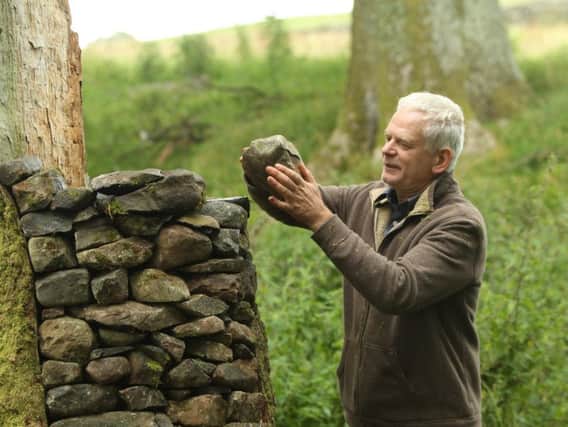 Sculptor Andy Goldsworthy. Credit: Local Democracy Reporting Service