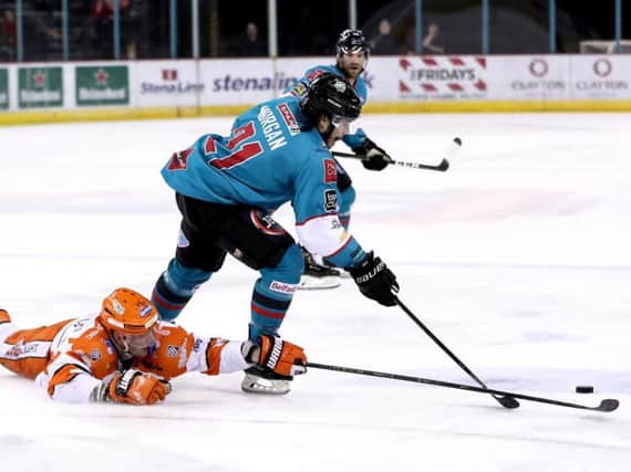 Sheffield Steelers' Davey Phillips can't quite catch Belfast's Liam Morgan during Friday night's defeat. Picture courtesy of Press Eye/EIHL.