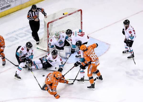 Sheffield Steelers put the Belfast Giants goal under pressure during their 4-0 win at the SSE Arena on Saturday. Picture: William Cherry/Presseye
