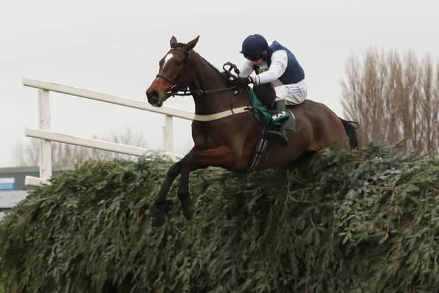 This is James Best and Walk In The Mill clearing the last in the becher Chase at Aintree.