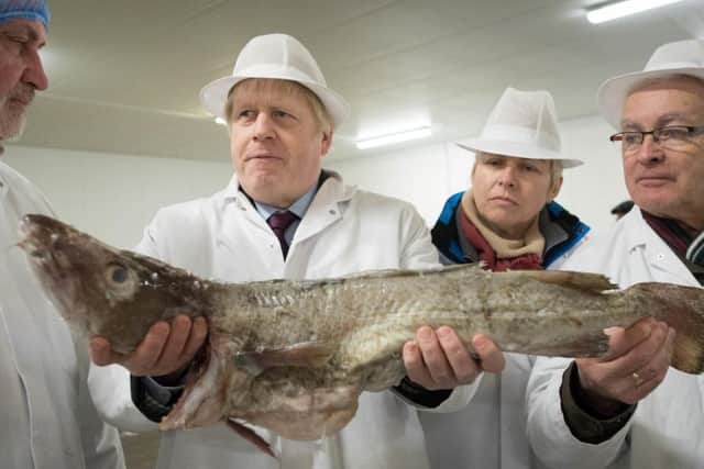 Prime Minister Boris Johnson holds a fish during a visit to Grimsby Fish Market, while on the General Election campaign trail. Photo: Stefan Rousseau/PA Wire
