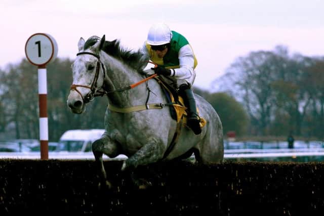 Vintage Clouds - pictured winning at Haydock last year - will now stick to regulation fences, says trainer Sue Smith.