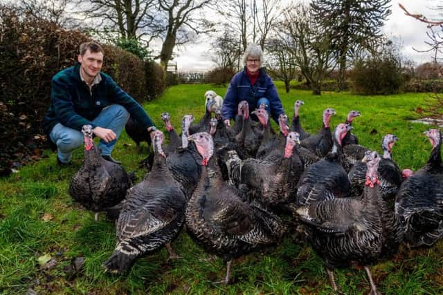 Farmer Alastair Trickett, of Fortshot Farm, Fortshot Lane, Wike, near Leeds, who looks after a small number of Kelly Bronze Turkeys alongside his flock of Romney sheep, pictured with his mum Amanda. Credit: James Hardisty.