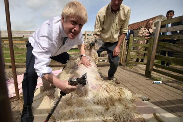 There are fears that farming will be hit if Boris Johnson sanctions a no-deal Brexit in 2020 because of a failure to reach a trade agreement with the EU.