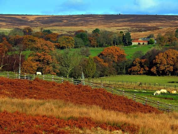 Parking charges could increase in the North York Moors. Credit: Gary Longbottom