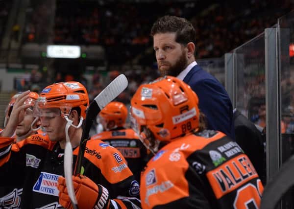 Leading the way: Aaron Fox, on the bench during a recent game against Nottingham Panthers at Sheffield Arena. Picture: Dean Woolley