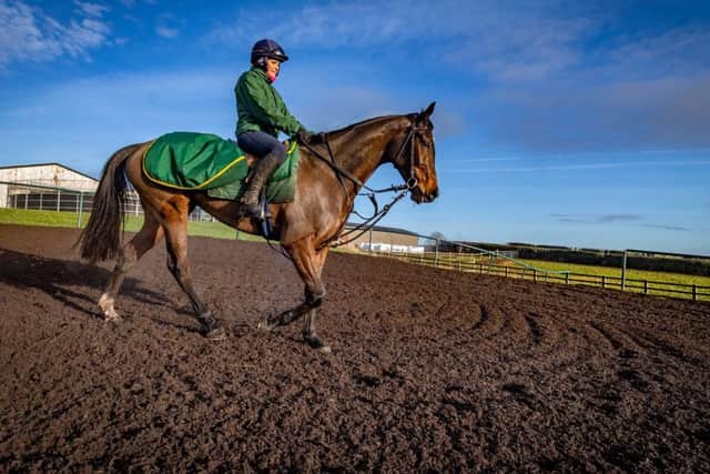 Lady Buttons on the gallops at Phil Kirby's stables where she is ridden by Jennie Durrans.