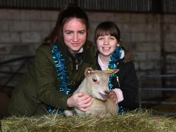 Molly and Lucy Dougherty pictured with one of the lambs.