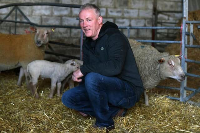 Cyril Dougherty who farms in Kirkby Misperton has newborn lambs from his Charollais sheep.