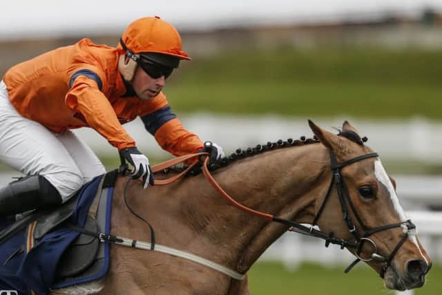 Sam Spinner, the mount of Joe Colliver, is out for the remainder of the National Hunt season.
