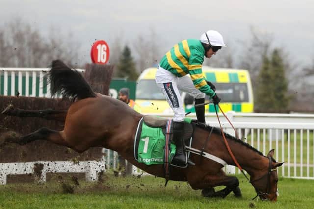 Champ ridden by Barry Geraghty is a faller in the Paddy Power Broken Resolutions Already Dipper Novices' Chase at Cheltenham. Picture: David Davies/PA