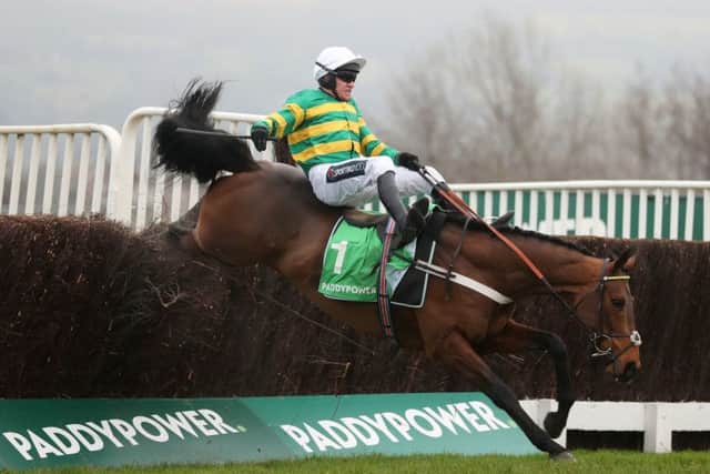 Midnight Shadow won at Cheltenham when Barry Geraghty's mount Champ crashed out at the second last fence.
