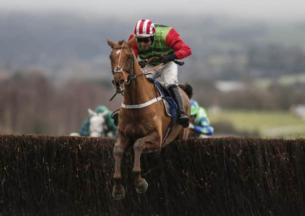 Past successes of Definitly Red include the 2018 Cotswold Chase at Cheltenham under Danny Cook.