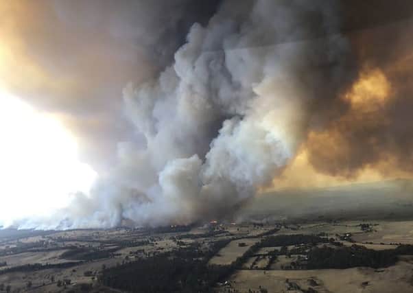 What lessons are there for Yorkshire from the Australia wildfires? Photo: Glen Morey via AP