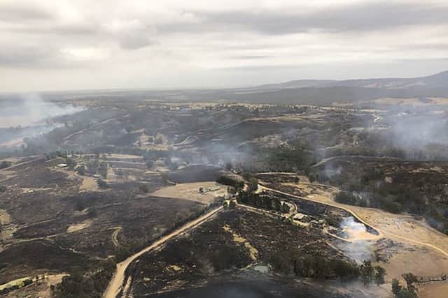 The Australia wildfires are having a devastating effect on the natural environment. Photo: Glen Morey via AP