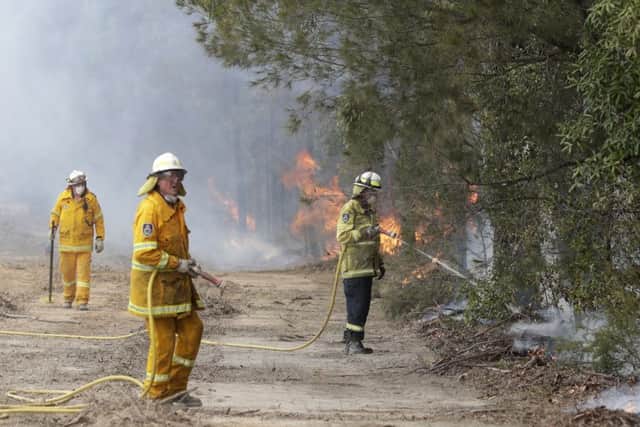 The Australia wildfires have led to scenes of devastation.