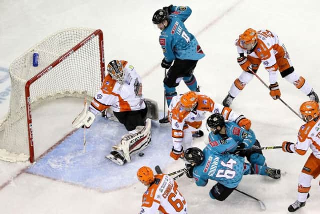 NOT THIS TIME: Sheffield Steelers' netminder Tomas Duba sticks out a leg to deny Belfast on Friday night. Picture: William Cherry/EIHL.