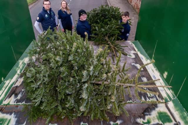 Boroughbridge Young Farmers recycling Christmas trees, George Gill, (chairman of Boroughbridge YFC), Alice Birch, Tom Lowther, and Lee Swann.