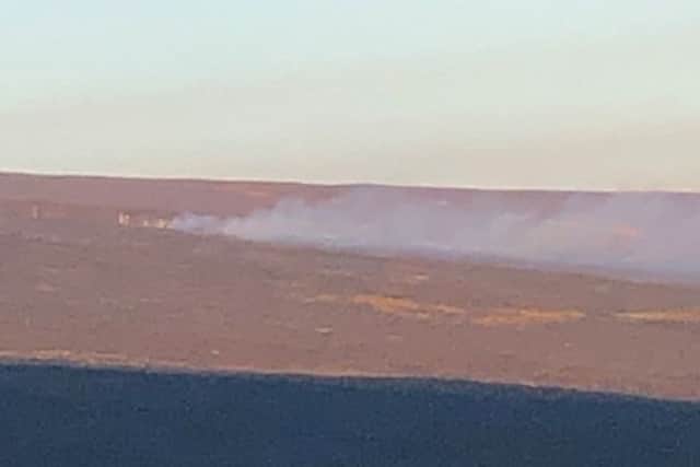 A moorland fire - what is the best way of maintainiig these areas?