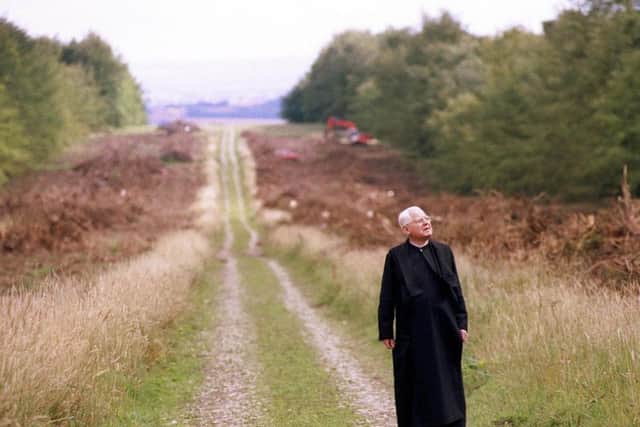 A monk from Ampleforth Abbey surveys the remains of the beech avenue at Gilling Castle, which was felled in the 1940s