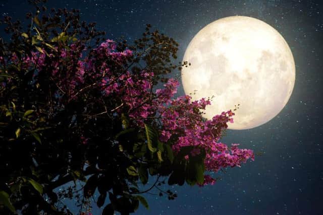 Even today, Easter Sunday is still determined by the cycles of the moon. Picture: Shutterstock