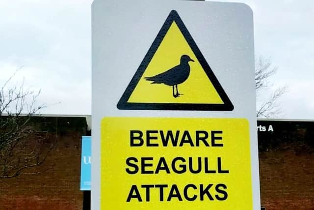 A sign warning people about attacks. Picture: SWNS