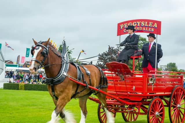 The 162nd edition of the Great Yorkshire Show will take place in Harrogate in July 2020, celebrating the very best of farming, food and the countryside.