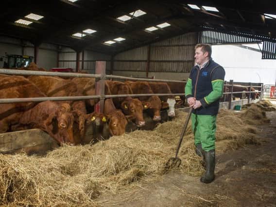 Gary Shipley from Wold House Farm pictured with his suckler herd
