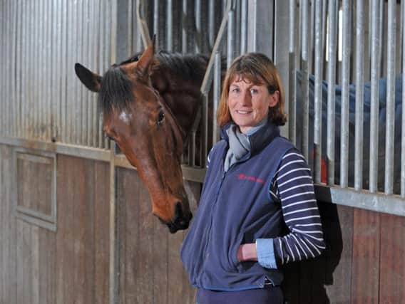 Jo Foster and her horses 'hit middle age'.