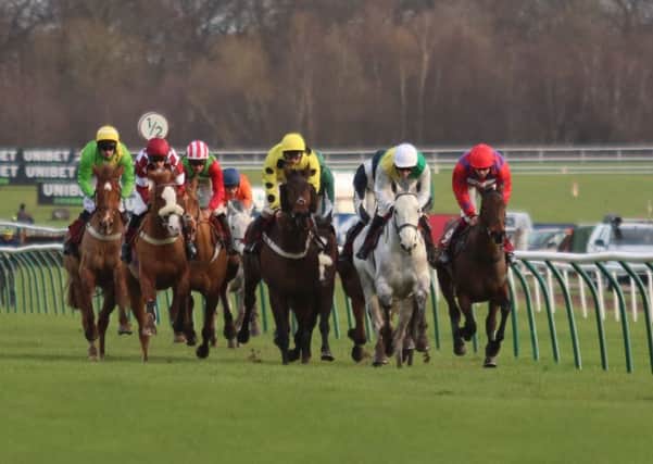 The grey Vintage Clouds and jockey Danny Cook (white cap) lead the Peter Marsh Chase field. Photo: Phill Andrews.